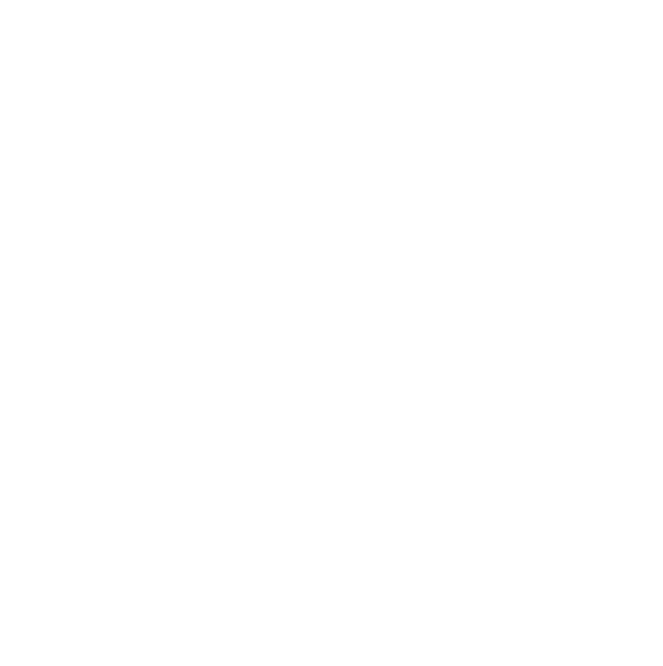 aim2025_white